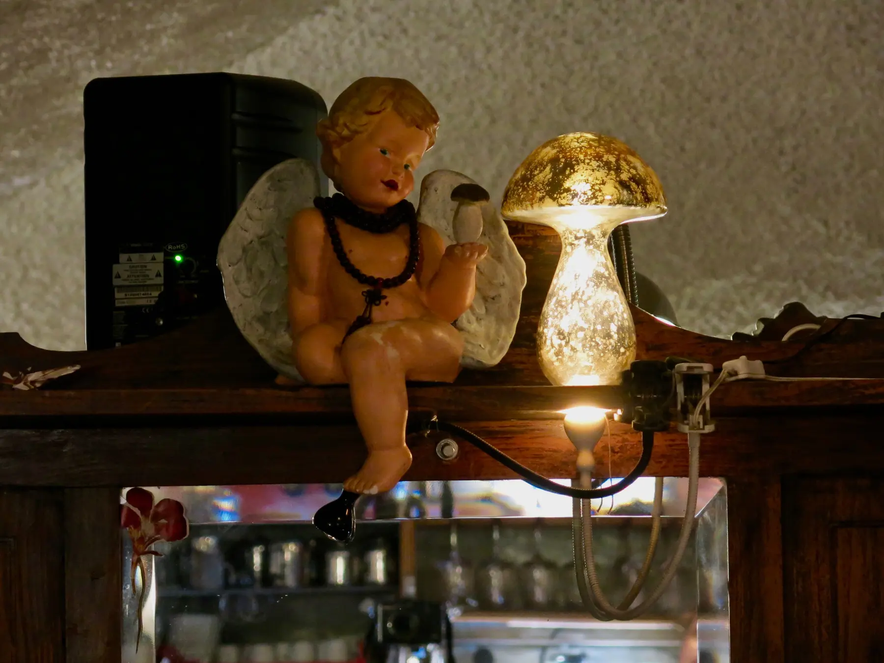 O anjo da guarda do Santa Clara dos Cogumelos